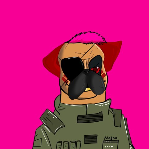 A DogFather on Hollywood Cerise