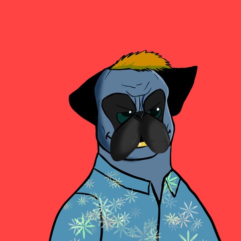 A DogFather on Red Orange