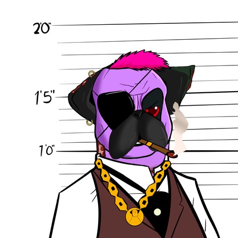 A DogFather booking photograph